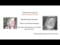 Ajankohtaisia aiheita: turvallisuusstrategia, työttömyys, talous. Keskustelemassa Harri Kiiskinen