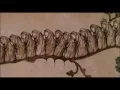 Monty Python and the Holy Grail Animated interlude
