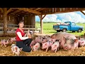 TIMELAPSE -- Harvesting 200Kg Giant Piglets, Go to Market Sell \u0026 Cooking Spicy Banana Soup