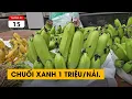Lagu Đào rẻ thối. Chuối xanh 1 triệu/nải. Thần Phật còn bị lừa nữa là người thường.