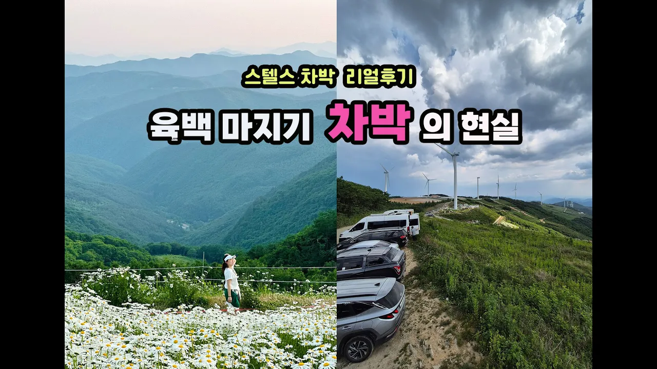 40대 극F 여자의 차박 I 해발1256m 정상에서 I 육백마지기 차박리뷰 I 눈에보이는 모든게 리얼은아니다 I 육전,소라구이에 술한잔