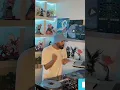 Download Lagu Checkout My Recap Mixtape From My Latest Valentine’s Megamix, Which Includes Hip-Hop \u0026 RnB Music 🫶