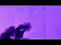 Heat Waves - (SLOWED + REVERB) - Glass Animals [TikTok Remix]