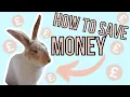 Top Nine Rabbit Money Saving Hacks Peanut The Pirate Bunny