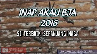 inap akau bja 2016 si terbaik