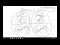 3 5 Repeated Eigenvalues
