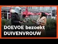 Lagu DOEVOE bezoekt DUIVENVROUW in ROTTERDAM: \