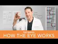 The Basics How The Eye Works