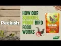 Bird Food That Squirrels Don t Like