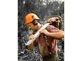 Wood Man Slide show