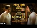 Download Lagu ANIMAL:Papa Meri Jaan (Whistle) |Ranbir Kapoor,Rashmika,Anil K,Bobby D|Sandeep V| Bhushan Ke
