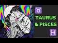 The Taurus Pisces Relationship - LOVE Friendship Compatibility