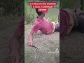 Download Lagu pescaria https://vm.tiktok.com/ZMH7QCweKvKVn-6SPxj/