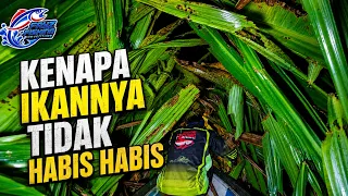 2 Malam Menombak, 81 Tahun Indonesia Merdeka, IKANNYA BELUM HABIS - HABIS...