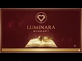 Understanding Emotional Triggers Chapter 28 of The Luminara Mindset