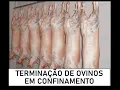 Channel