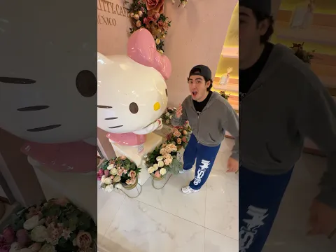 Fui a la CAFETERÍA ROSA de HELLO KITTY 😳