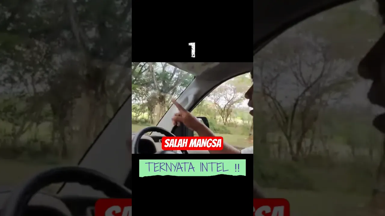 best moments #shortvideo