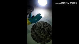 صنع عا كس في أدوات البيت 