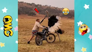 تجميعه مقاطع مضحكه جدا                                     دندنها