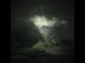 Depressive Suicidal Black Metal-the trascendental winds of loneliness