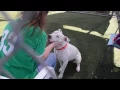 San Luis Obispo County Animal Services