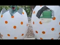 Watch me fail at Mini Golf - Raptor Falls