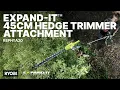 RYOBI Expand-It 10 254mm Pruner Attachment REPRUA20