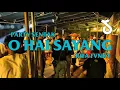 Download Lagu PARTY SENTAK🏝️ DJ O HAI SAYANG -BASS SENTAK- REMIX  RIFA FVNKY  TERBARU‼️