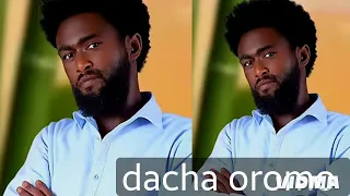 Dachas Oromo Sirbaa Harayaa Office Ethiopia 