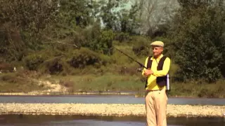 شادابی در طبیعت شامپو سدر صحت 