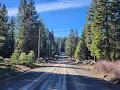 Modoc County CA - California Pines and Alturas