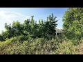 Can't Believe This Was Once A House – Completely Surrounded By Nature!