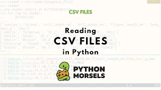 Reading a CSV file in Python