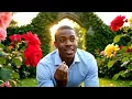 Download Lagu Say Yes-serie, wil je met me trouwen? Waar? Tuin #liefde #huwelijk #shorts