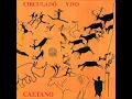 Caetano Veloso - Debaixo dos Caracóis dos Seus Cabelos
