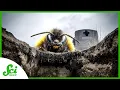 The Bees That Eat Corpses