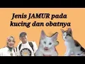 Download Lagu Jenis Jamur pada kucing dan obatnya