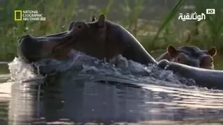 نهر النيل الحلقه الاولى من منبع النهر رابط الحلقه الثانيه في الوصف 