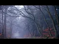 Ulver - Capitel I: I Troldskog Faren Vild