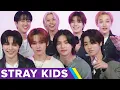 Download Lagu Stray Kids Finds Out Which SKZ Members They Actually Are