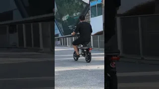 48v Foldable Electric Bike With 8 Shock-Absorber Limited Edition