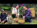 Download Lagu Husband Joins Wife in Pear Harvest \u0026 Handmade Tofu – A Loving Day Together Enjoying a Warm Dinner