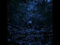 lose yourself