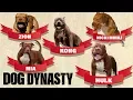Hulk s Family Tree Meet All The Dogs Of DDK9s DOG DYNASTY