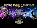 Download Lagu NONSTOP BREAKBEAT SPECIAL REQ MR.BIB VOL.02