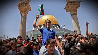                                             دمي فلسطيني دندنها