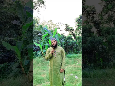 দুনিয়ার সামনে মুখে থাকুক প্রশান্তি, আর নির্জনে আল্লাহর 🌸🕊️#IslamicReminder#Sunnah #SmilingIsSunnah