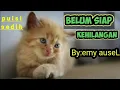 Download Lagu belum siap kehilangan.