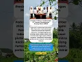 Download Lagu Presiden Prabowo Tandatangan PP tentang penghapusan piutang Macet UMKM #prabowo #umkm